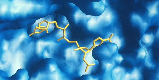 省部共建生物催化与酶工程国家重点实验室